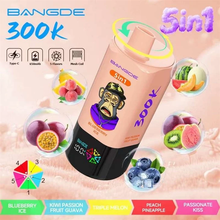 BANG DE 5in1 300000 best BANG DE 5in1 300000 best