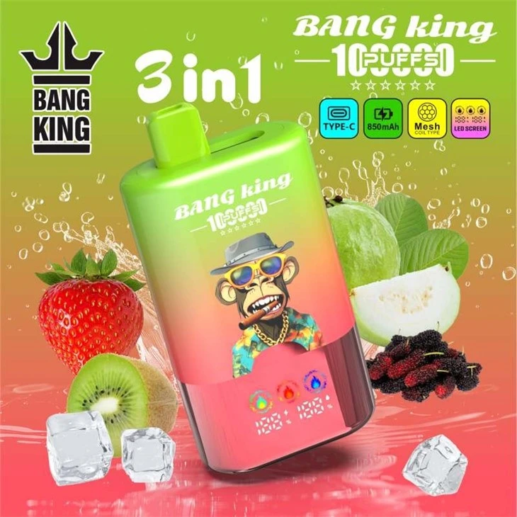 BANG KING 100000 PUFF best BANG KING 100000 PUFF best