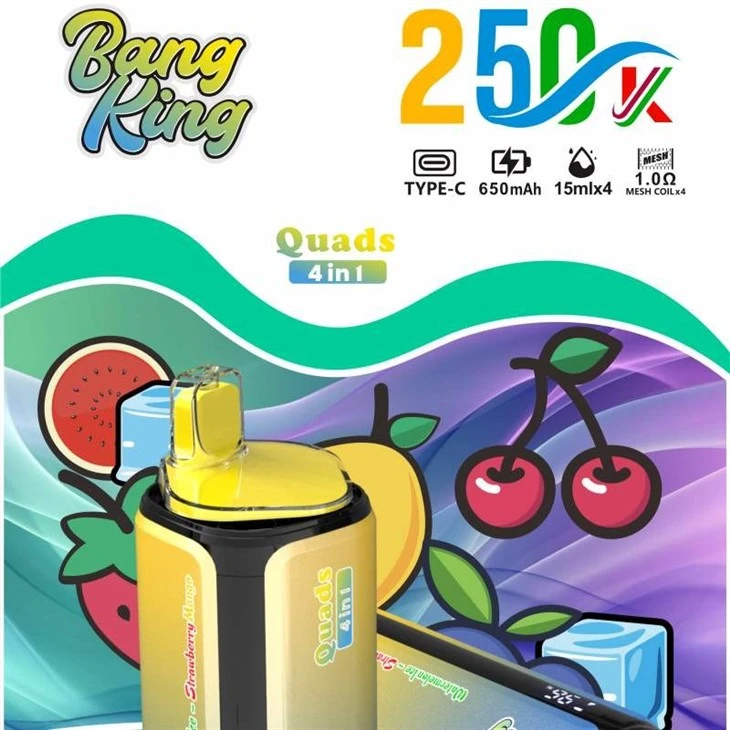 BANG KING Quads 250000 manufacturers BANG KING Quads 250000 manufacturers