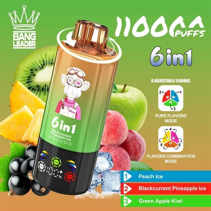 Bang Leader 110K Puffs factory