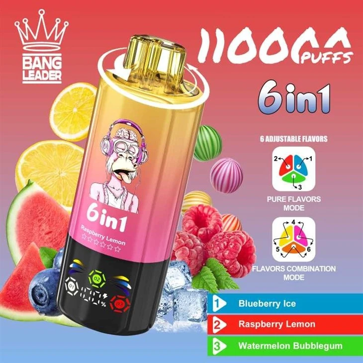 Bang Leader 110K Puffs manufacturers