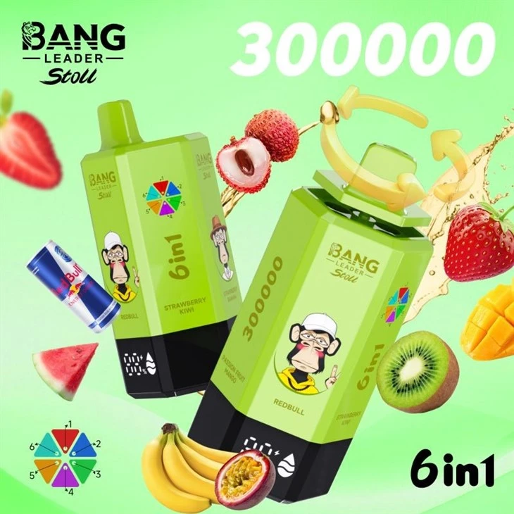 bang leader 300000 19 bang leader 300000 19