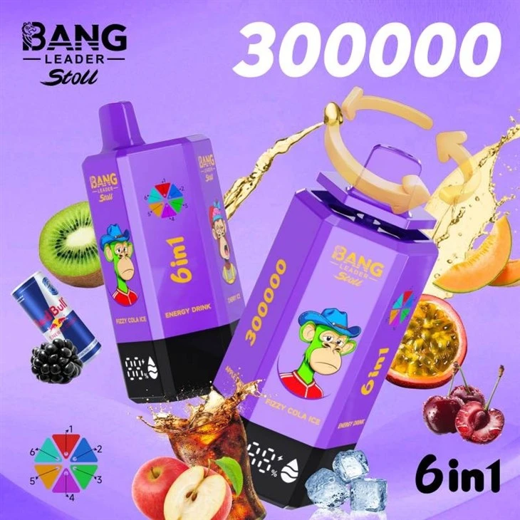 bang leader 300000 23 bang leader 300000 23
