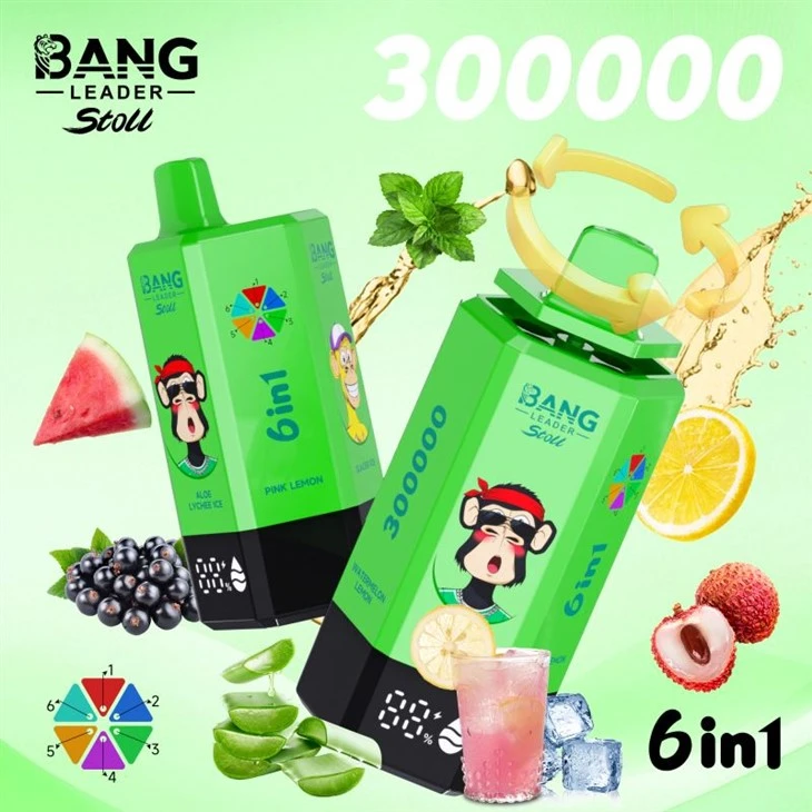 BANG LEADER Stoll 300000 BANG LEADER Stoll 300000