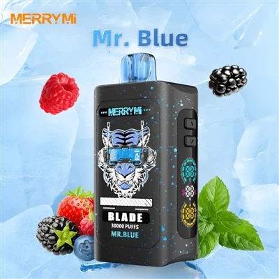 Merry Mi Blade 30000: ไม่เพียงแต่เพิ่มข้อมูลจำเพาะเท่านั้น แต่ยังมอบประสบการณ...
