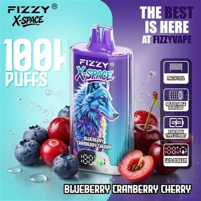 Fizzy 100K X Space: ไม่มีอะไรโดดเด่นสำหรับอุปกรณ์ที่มีอายุการใช้งานยาวนาน ควา...