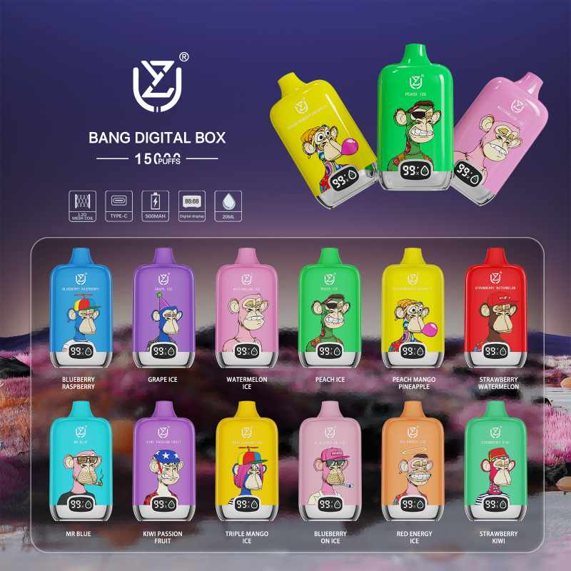 UZY BANG DIGITAL BOX 12000 10