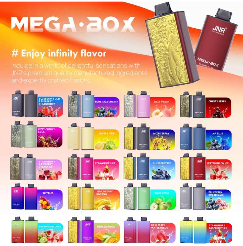JNR Mega Box 25000 flavor