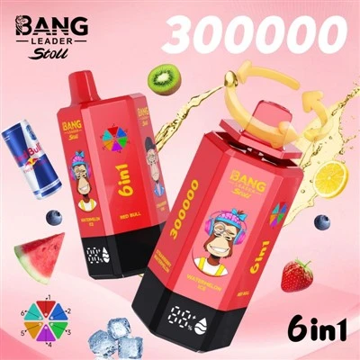 ผู้นำปัง 300000