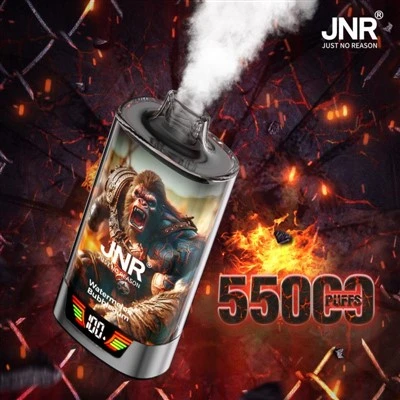 เจเอ็นอาร์ เรจ กริลล่า 55000